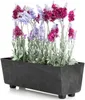 HowHomely | Jardinière - Salvia - 37,5x17 cm - Béton noir - Voir les images du produit 1