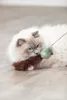 TRIXIE Spielangel mit Maus, 46 cm Produktbild-Vorschau 7