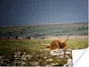 MuchoWow® Poster Schottische Highlander - Steine - Gras Produktbild-Vorschau 1