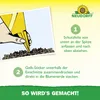 Neudorff Gelbsticker für Pflanzen 10 Stück gegen kleine Produktbild-Vorschau 6