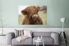 MuchoWow® Poster Schottischer Highlander - Braun - Tiere Produktbild-Vorschau 5