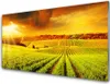 Acrylglasbilder 100x50 Wandbild Druck Feld Acker Produktbild-Vorschau 1