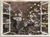 ARTland Leinwandbild Fensterblick - Kirschblüten mit Amsel Produktbild-Vorschau 1