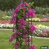 Gerdo | Zahradní sloupová pergola 200 cm, černá – kovová Náhled obrázku produktu 4
