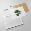 Gerahmtes Poster - Weißer Rahmen - Salbei Medizin Blätter - Produktbild-Vorschau 4