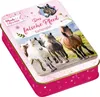 Pferdefreunde - Kartenspiel: Das falsche Pferd Produktbild-Vorschau 1