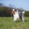 Cani di piccola e media taglia Liker Cord Ball 7 Waudog Anteprima dell’immagine prodotto 10