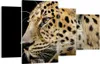 Bild auf Leinwand - Leinwandbild - Tiere Leopard wilde Produktbild-Vorschau 1