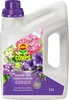 COMPO Balkon- & Kübelpflanzendünger 2,5 Liter Produktbild-Vorschau 1