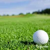 Topdressing Trawników – Mieszanka z Mykoryzą i Podgląd zdjęcia produktu 3