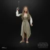 Hasbro - Star Wars Return Of The Jedi The Black Series Náhled obrázku produktu 13