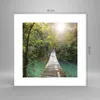 Poster - Poster ohne Rahmen - Brücke Seil Dschungel - 30x30 Produktbild-Vorschau 4