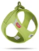 Curli Air-Mesh, Borsttuig, Vestmodel, Maat S, Groen, Nylon, Productafbeelding-voorbeeld 1