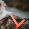 Non-stop dogwear Geschirr Rush Harness schwarz/orange, Produktbild-Vorschau 10