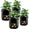 10 sacs de plantes, sac de plantation de pommes de terre 7 Voir les images du produit 2