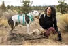 Ruffwear Hi & Light™ Hundehalsband Produktbild-Vorschau 10