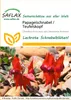 Artikelbild 1 von 'Papageischnabel / Teufelskopf' aus der Kategorie Exotische Samen Podgląd zdjęcia produktu