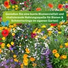Greenyp Sommer Blumenmischung I 100g für 100m² I Produktbild-Vorschau 6