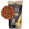 10 kg Lyra Pet® Erdnusskerne mit Haut Neue Ernte Produktbild-Vorschau 1