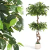 Ikodm umelá rastlina Ficus, výška 150 cm, nevyžaduje Náhľad obrázku produktu 14
