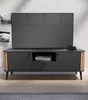 Pure TV Tisch 2 Türen, 1 Schublade, 1 Ablage grau,Eiche Produktbild-Vorschau 4