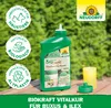 Neudorff BioKraft Vitalkur für Buxus & Ilex 300ml - Produktbild-Vorschau 3