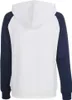 Joma Academy IV Hoodie Jacket Damen Produktbild-Vorschau 4