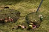 FRAISEUSE D'AMIS Noix et 68090 Voir les images du produit 7