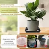 Pflanzenuntersetzer Set 8 Stück,eckig, 25 cm, stabil, Produktbild-Vorschau 4