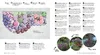 Keine Zeit zu Gärtnern - Blumenparadies mit wenig Aufwand Produktbild-Vorschau 9