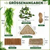10er Set Terrarium Hängematte aus natürlichem Seegras, Produktbild-Vorschau 2