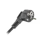 A close-up shot of a black electrical plug with two pins and a cable attached, set against a white background. Anteprima dell’immagine prodotto