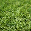 200x400 cm Tappeto erboso in rotoli Profi Garden Anteprima dell’immagine prodotto 2