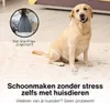 Achaté Powerful Spot Cleaner - Środek do czyszczenia Podgląd zdjęcia produktu 12