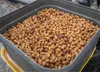 900 g di pellet affondanti Sonubaits HARD PELLETS da 4 mm Anteprima dell’immagine prodotto 5