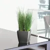 Lechuza Samozavlažovací květináč Quadro LS Premium, průměr Náhled obrázku produktu 2
