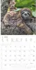 Alpha Edition - Tierbabys Kalender 2026 - Wandkalender Produktbild-Vorschau 11