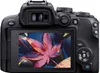 The back view of a black Canon EOS R10 camera displaying a close-up image of a red maple leaf on its screen. Náhľad obrázku produktu