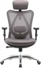 SIHOO Bürostuhl Schreibtischstuhl, ergonomisch, Produktbild-Vorschau 6