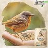 A bird is perched on a hand holding birdseed, with a bag of birdseed in the foreground. Produktbild-Vorschau