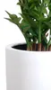 Vaso da fiori CITY in fibra di vetro, bianco lucido, 37x80 Anteprima dell’immagine prodotto 3