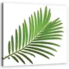 Leinwandbild blumen - grün 60x60 cm Feeby grün wandbild Produktbild-Vorschau 1