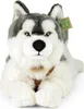 Peluche Husky Con Pettorina 60 Cm Ecologico Anteprima dell’immagine prodotto 2