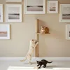 96 cm hoge wandkrabpaal voor katten met 1 plateau - Sisal Productafbeelding-voorbeeld 2