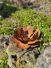 Peonia in filigrana di ruggine Anteprima dell’immagine prodotto 1