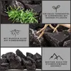 Aquarium Natursteine Schwarzer Felsen 1 Stück Gr. XL 2-3kg Produktbild-Vorschau 3