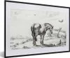 MuchoWow® MuchoWow® Gerahmtes Poster Stehendes Pferd mit Produktbild-Vorschau 1