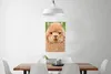 MuchoWow® Poster Alpaka - Wolle - Braun 40x60 cm - Plakate Produktbild-Vorschau 2