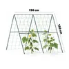 KADAX Gurken Rankhilfe Set – 9 x Pflanzstab 150 cm, Produktbild-Vorschau 3