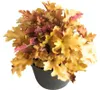 Dlužicha Heuchera 'Indian Summer Orange' výška 5-20 cm Náhled obrázku produktu 1